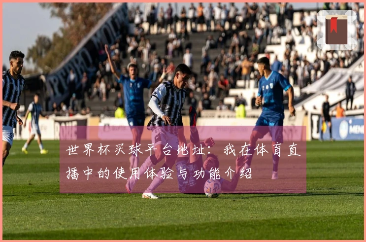 世界杯买球平台地址：我在体育直播中的使用体验与功能介绍