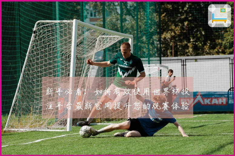新手必看:如何有效使用世界杯投注平台最新官网提升您的观赛体验