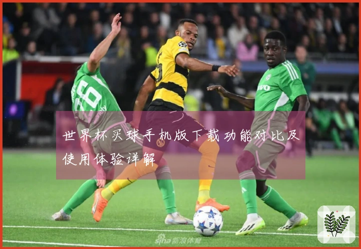 世界杯买球手机版下载功能对比及使用体验详解