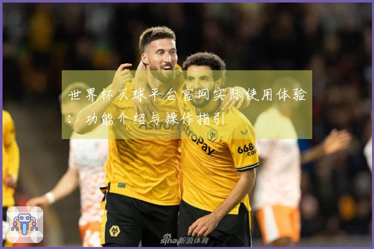 世界杯买球平台官网实际使用体验：功能介绍与操作指引