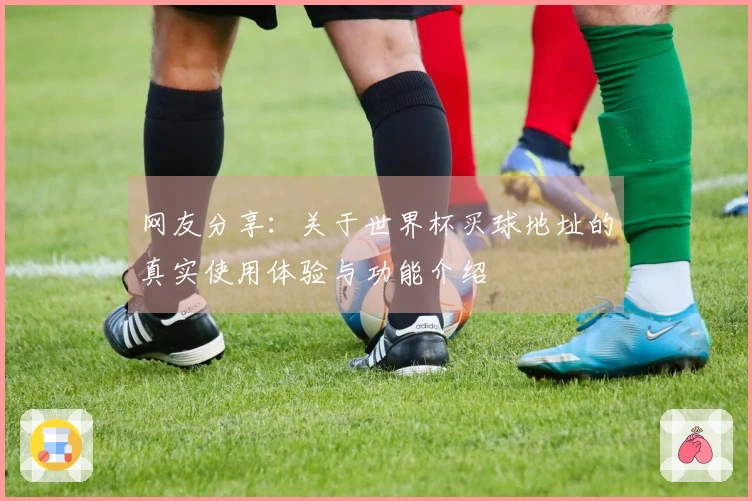 网友分享：关于世界杯买球地址的真实使用体验与功能介绍