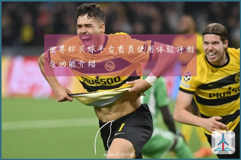 世界杯买球平台首页使用体验评测与功能介绍