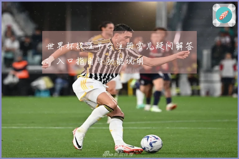 世界杯投注平台注册常见疑问解答：入口指南与功能说明