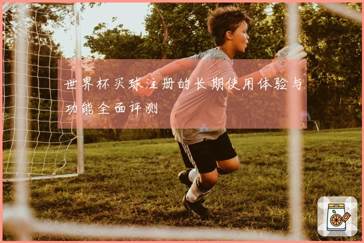 世界杯买球注册的长期使用体验与功能全面评测