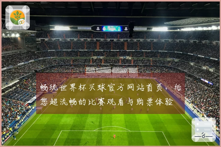 畅玩世界杯买球官方网站首页，给您超流畅的比赛观看与购票体验