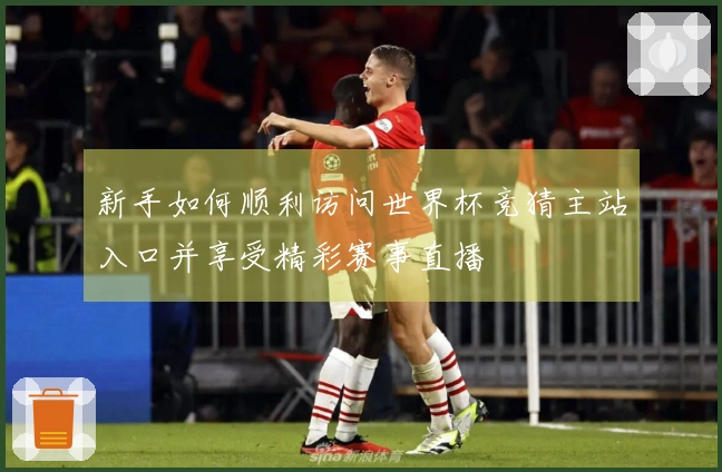 新手如何顺利访问世界杯竞猜主站入口并享受精彩赛事直播