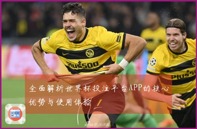 全面解析世界杯投注平台APP的核心优势与使用体验