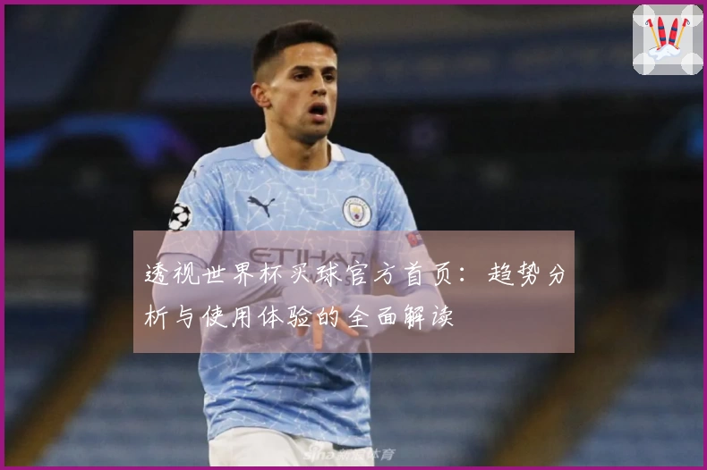 透视世界杯买球官方首页：趋势分析与使用体验的全面解读