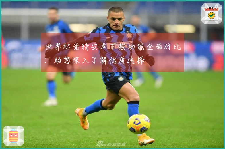 世界杯竞猜安卓下载功能全面对比：助您深入了解优质选择