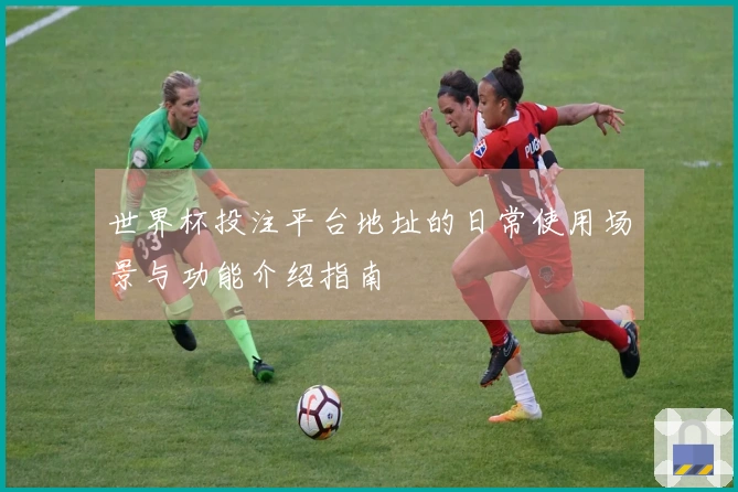 世界杯投注平台地址的日常使用场景与功能介绍指南